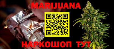 сатива Ставрополь