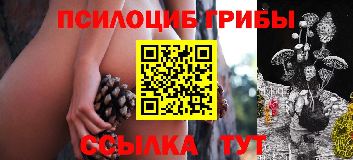 Галлюциногенные грибы Psilocybe Большой Камень